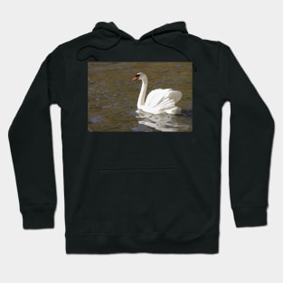 Peace and Gentleness Hoodie